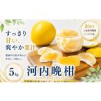 2027年3月下旬~7月上旬迄に 出荷予定