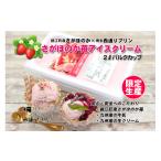 菓子 アイス さがほのかアイスクリーム 産さがほのか×博多…