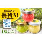 果物類 フィンガーライム ナチュラル 古賀萬壽果園