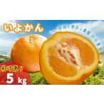 みかん 柑橘類 予定 いよかん 宮内伊予柑 5kg