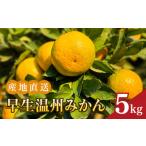 果物類 みかん 温州みかん 約5kg