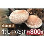 果物類 みかん 生しいたけ 約800g
