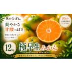 果物類 みかん 訳あり 産極早生みかん 合計約12kg
