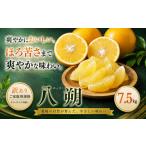 2027年2月上旬~3月下旬迄に 出荷予定