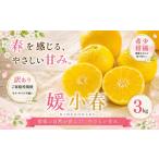 2027年1月下旬~3月下旬迄に 出荷予定