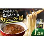 うどん 乾めん 壱岐牛&五島うどんのカレーつけ麺 1人前