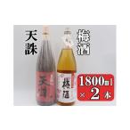 焼酎 いも 梅酒 天誅セット 1800ml×2本