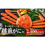 カニ ずわいガニ 越前がに オス ずわいがに 400g以上