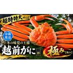 カニ ずわいガニ 越前がに オス ずわいがに