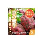 野菜類 サツマイモ 先行受付 訳あり 京の蜜芋