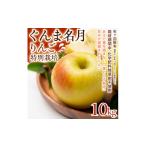 りんご 軽やかな甘さと食べやすさ シナノレッド 10kg