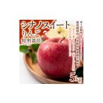 りんご 軽やかな甘さと食べやすさ シナノレッド 5kg