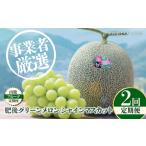 果物類 2回定期便 フルーツの名産地 山鹿から直送する旬の…