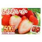いちご とちあいか 250g×2パック