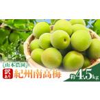 果物類 訳あり 南高梅 青梅 約4.5kg
