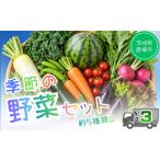 セット 詰合せ 野菜 定期便 詰め合わせ お野菜詰め合わせ
