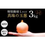 野菜類 玉ねぎ 真珠の玉葱 L~L大サイズ 3kg