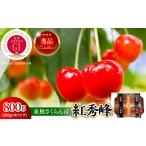果物類 さくらんぼ 2027年産 GI 東根さくらんぼ