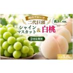 もも 2027年 岡山フルーツ二代巨頭 シャインマスカット&桃