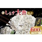 魚貝類 しらす 藤文のしらす大漁セット シラス