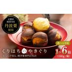 果物類 栗 焼き栗 丹波栗 1箱
