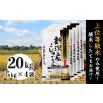 米 コシヒカリ 令和8年産 新米 31-K201