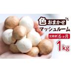 野菜類 きのこ 八幡平マッシュルーム 1kg