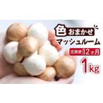 野菜類 きのこ 八幡平マッシュルーム 1kg