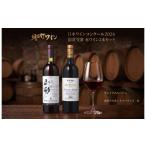 日本ワインコンクール入賞 ワイン 赤 2本 セット