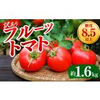 野菜類 トマト 訳あり フルーツトマト 約1.6kg