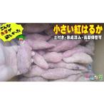 じゃがいも サツマイモ 小さい紅はるか 8kg