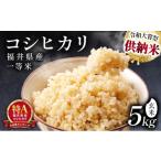 米 コシヒカリ 令和8年産 一等米 玄米 5kg