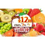 果物類 フルーツ定期便 果物 定期便 全12回