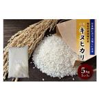 米 令和7年産 キヌヒカリ 白米 5kg