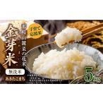 無洗米 子育て応援米 令和7年産 那岐山麓菜の花米