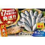 干物 サバ チョイス 訳あり 約2.0kg