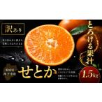 2027年1月下旬~3月上旬迄に 出荷予定