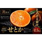 果物類 みかん 濃密果汁 産せとか 合計約4.5kg