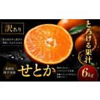 果物類 みかん 濃密果汁 産せとか 合計約6kg
