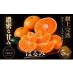 果物類 みかん 果粒の旨み 産はるみ 合計約5kg