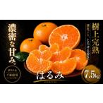 果物類 みかん 果粒の旨み 産はるみ 合計約7.5kg