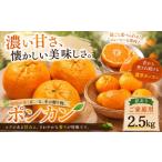 果物類 みかん 濃厚な甘み 産ポンカン 合計約2.5kg
