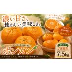 果物類 みかん 濃厚な甘み 産ポンカン 合計約7.5kg