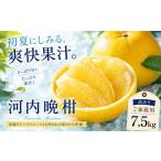 2027年3月下旬~7月上旬迄に 出荷予定
