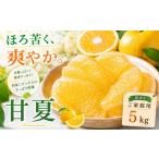 果物類 みかん 涼果の旨み 産甘夏 合計約5kg