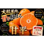 果物類 みかん 濃密な甘み 産甘平 合計約4.5kg