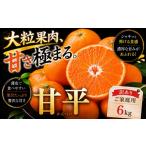 果物類 みかん 濃密な甘み 産甘平 合計約6kg