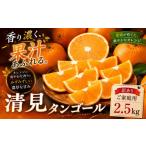 果物類 みかん 果汁の余韻 産清見タンゴール