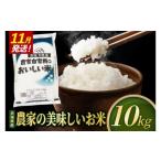 米 ミルキークイーン 精米 10kg