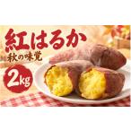 野菜類 サツマイモ 秋の味覚 紅はるか 2kg